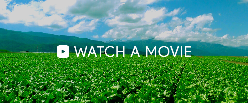 WATCH A MOVIE